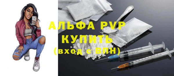 индика Балахна