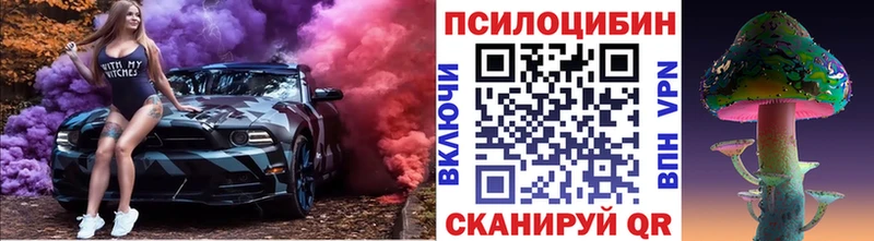 закладки  Сасово  Псилоцибиновые грибы GOLDEN TEACHER 